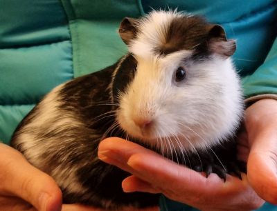 Fiona